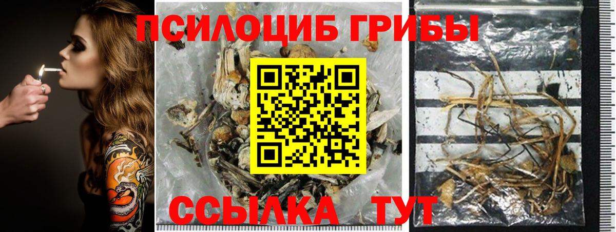 Коломна  Галлюциногенные грибы мухоморы  Вход с VPN 